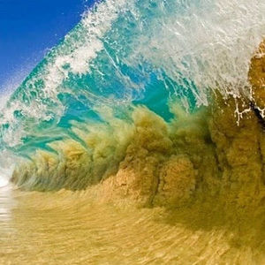 Meet your Posher, Timothy